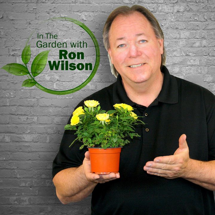 Ron Wilson 10-5-19