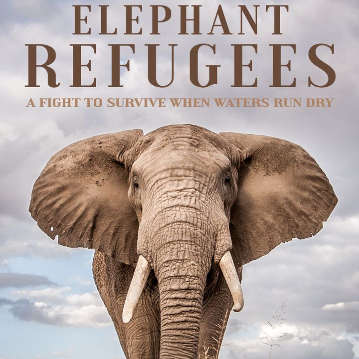 Filmmaker Louise Hogarth - Elephant Refugees
