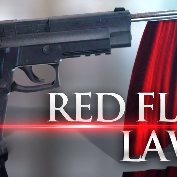 Red Flag Gun Laws are for Treasonous Wusses