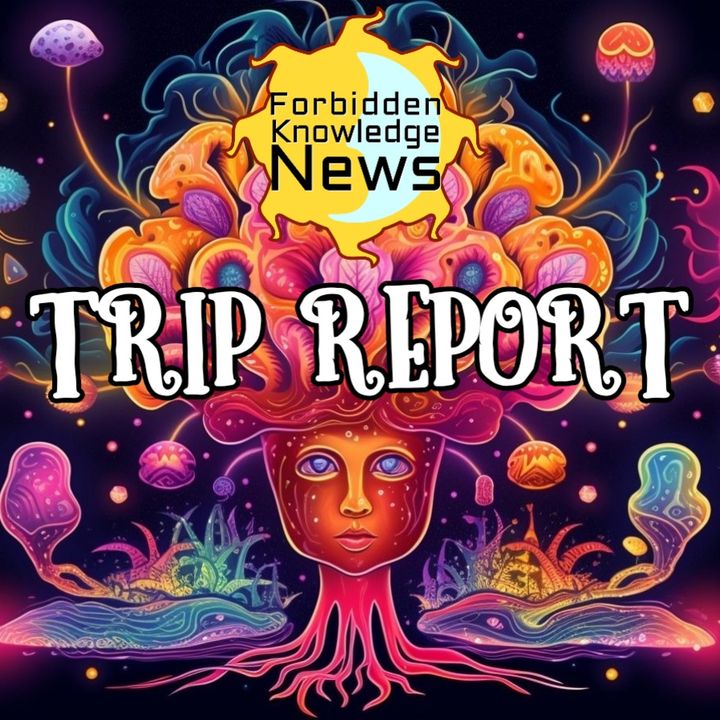 FKN Trip Report E4: Wizards of Perception | Stephen & Frank FearLess