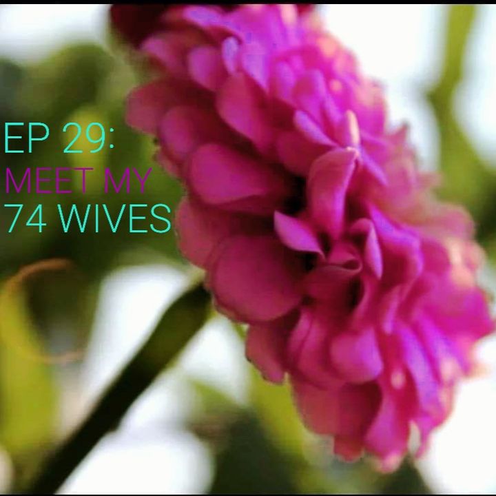 EP 29: Meet My 74 Wives