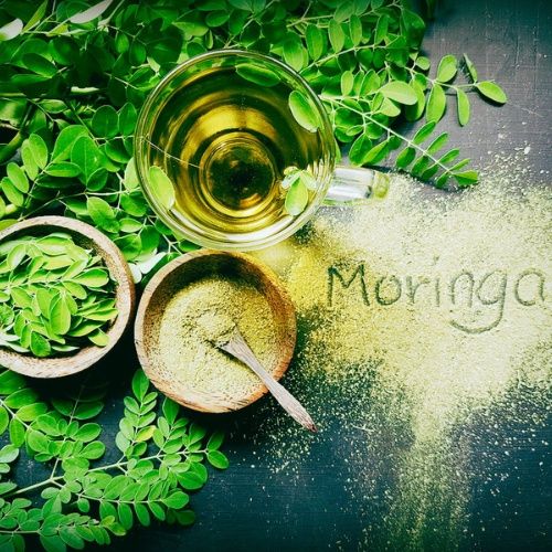 Nourishing Your Wellness: Moringa's Wonders on 'Nourishing Conversations