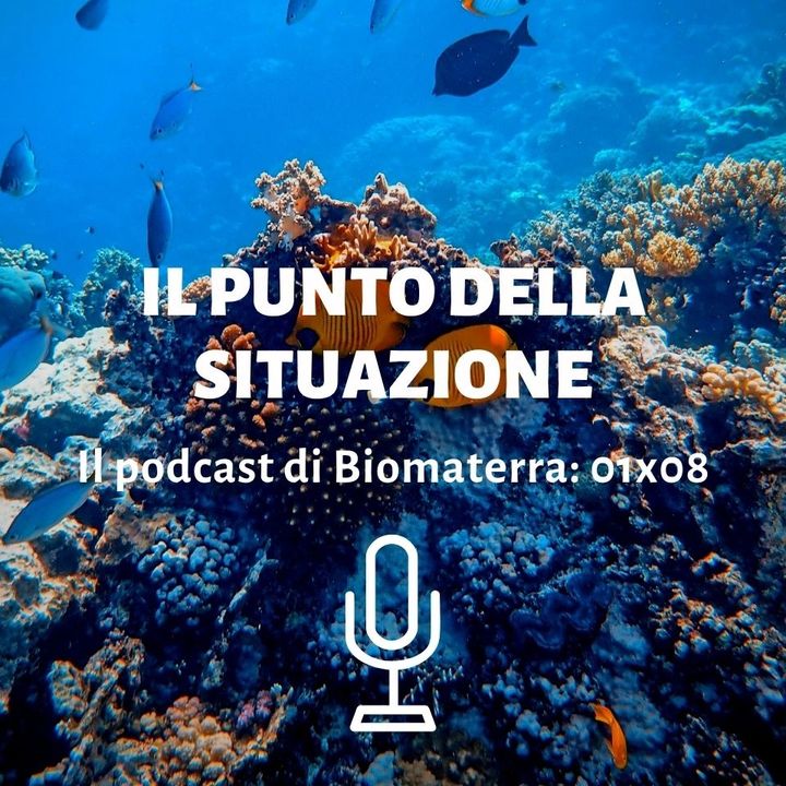 Biomaterra: podcast 1x08 - Il punto della situazione