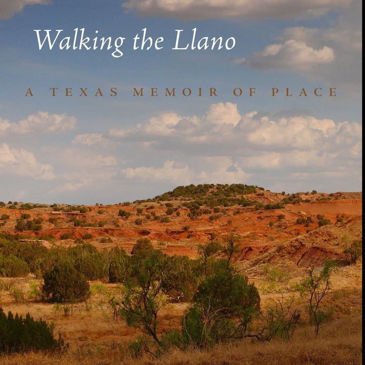 Shelley Armitage: Walking The Llano