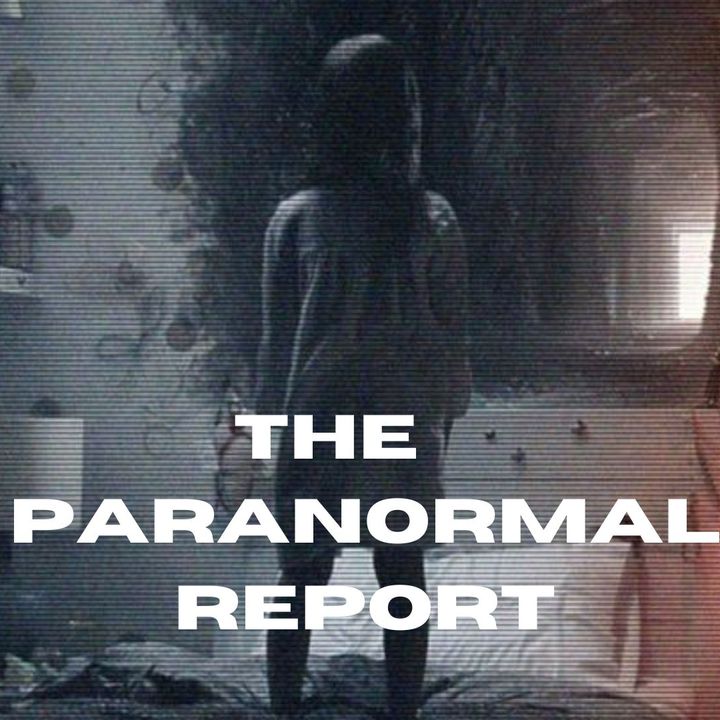 THE PARANORMAL REPORT
