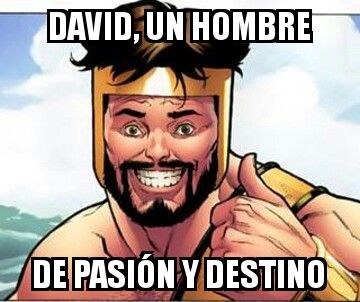 DAVID UN HOMBRE DE PASIÓN Y DESTINO