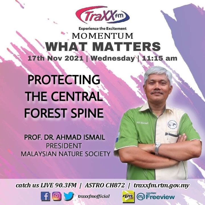 What Matters | Protecting the Central Forest Spine | 17 November 2021 | 11:15 am