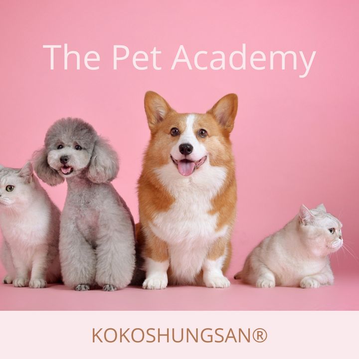 The Pet Academy