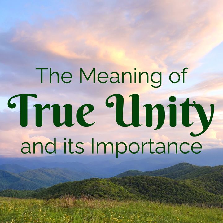 The Meaning of True Unity