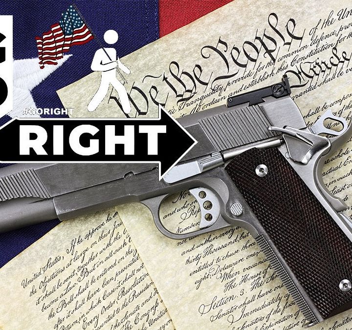 To Hell with the Constitution, THEY ARE COMING FOR YOUR GUNS
