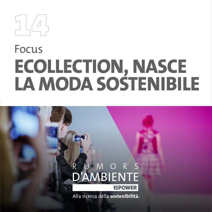 Focus - Ecollection, nasce la moda sostenibile