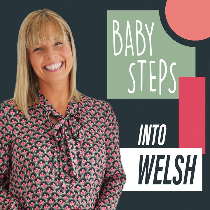 Welcome to Baby Steps Into Welsh