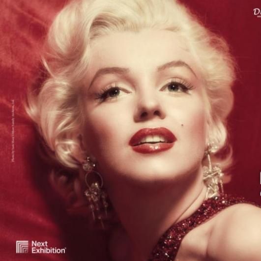 Forever Marilyn - Lara Martinetto Next Exhibition