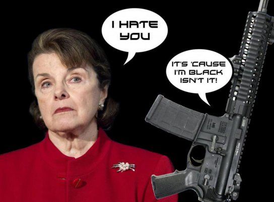 Senator Feinstein Claims Her "Assault Weapons Ban" Worked +