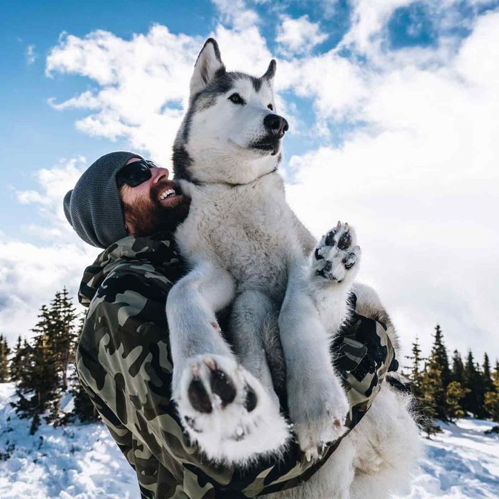1242. Turning Your Pet Into A Social Media Influencer. Wise Words From An Expert.