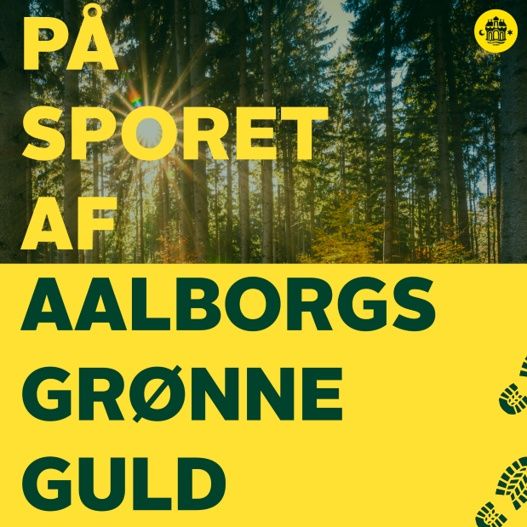 På sporet af Aalborgs grønne guld