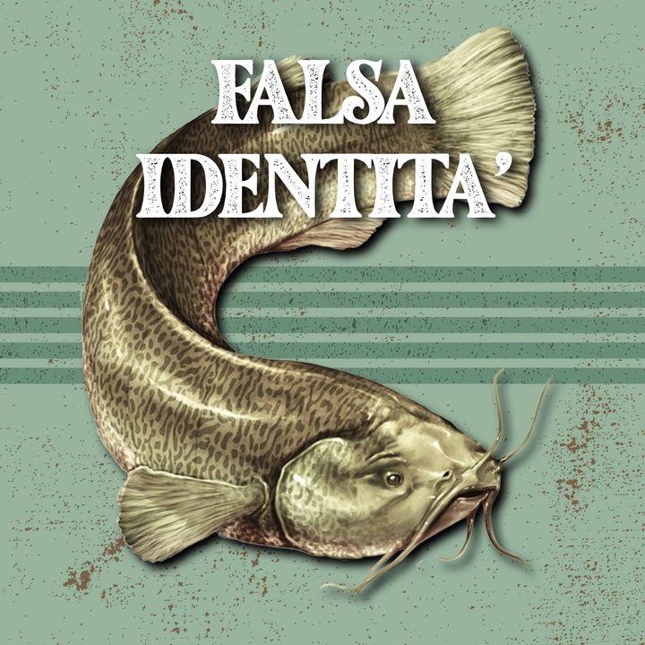 Catfish e false identità! - #10