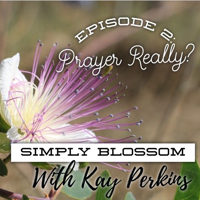 Episode 2: Prayer, Really?