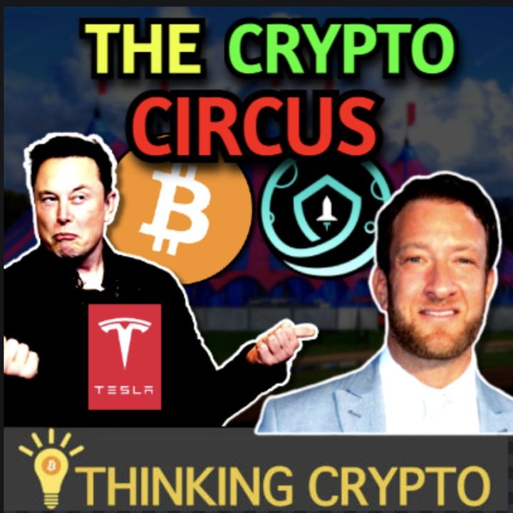 Crypto Circus Continues - Tesla & Elon Musk Holding Bitcoin & Dave Portnoy Shills Safemoon