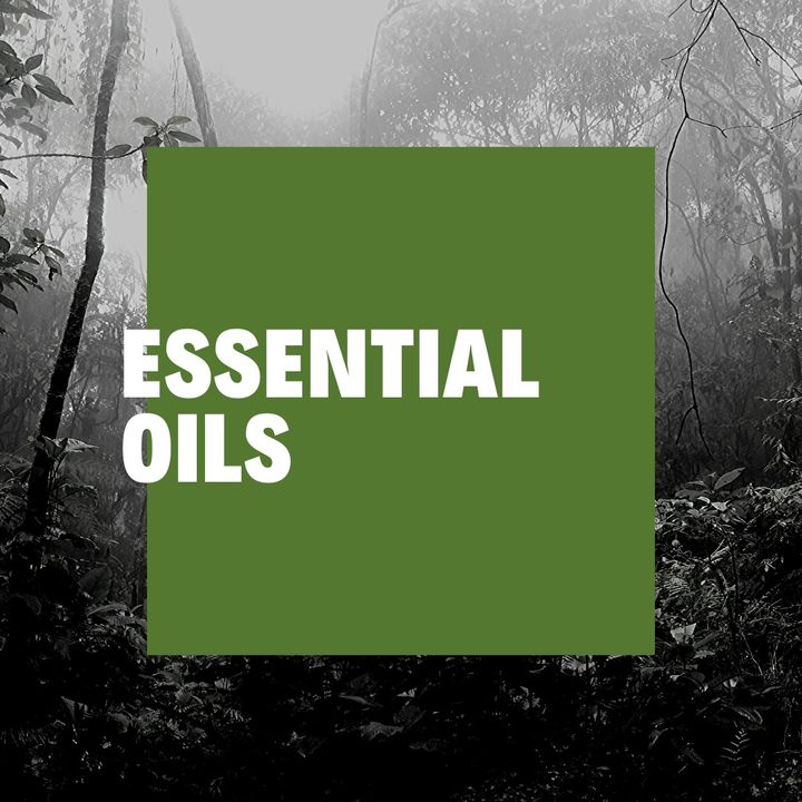 tsp health show: Essential Oils