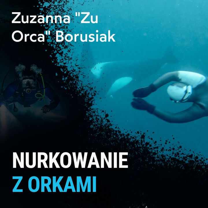 Nurkowanie z orkami w Norwegii - Zu Orca (Zuzanna Borusiak)