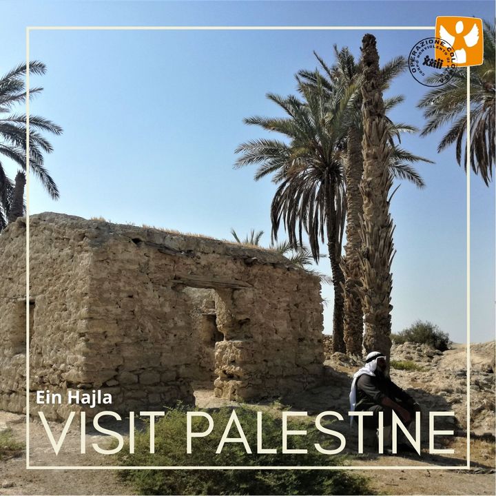 Visit Palestine: 09 Ein Hajla – Storie di resistenza