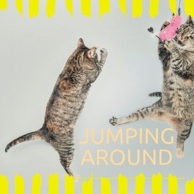 Jumping Around
