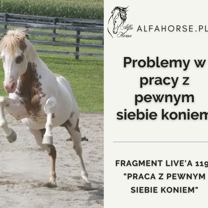Problemy w pracy z pewnym siebie koniem - fragment live 119