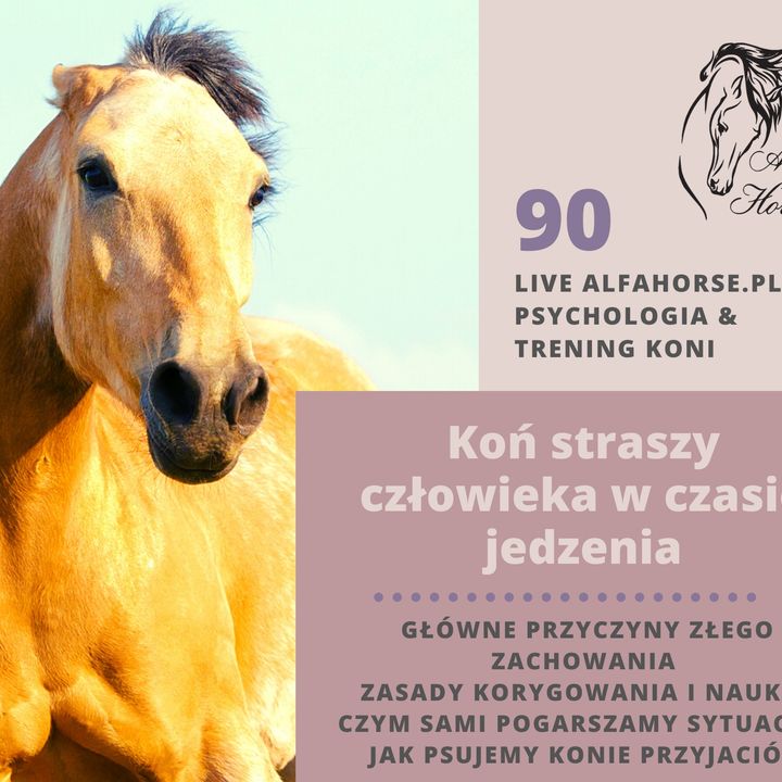 Live 90: Koń straszy człowieka przy jedzeniu