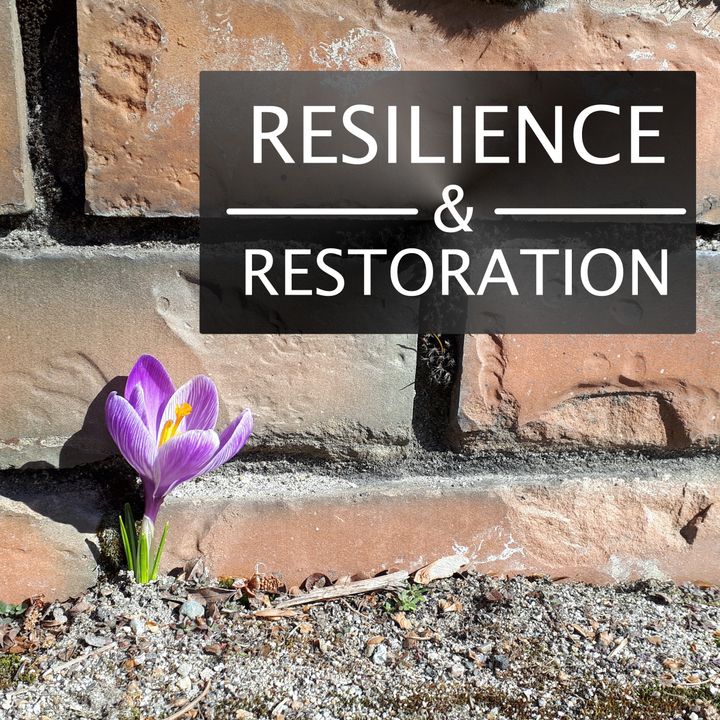 Resilience and Restoration