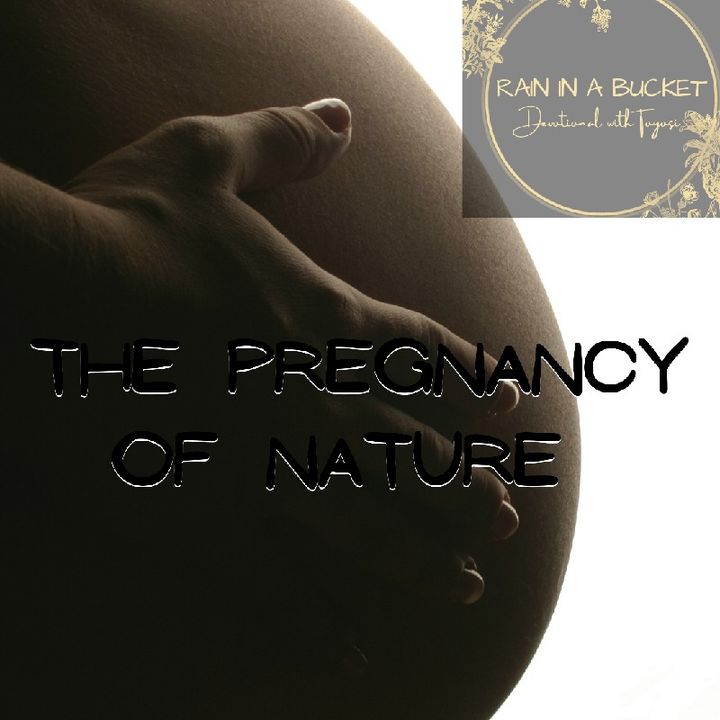 The Pregnancy Of Nature