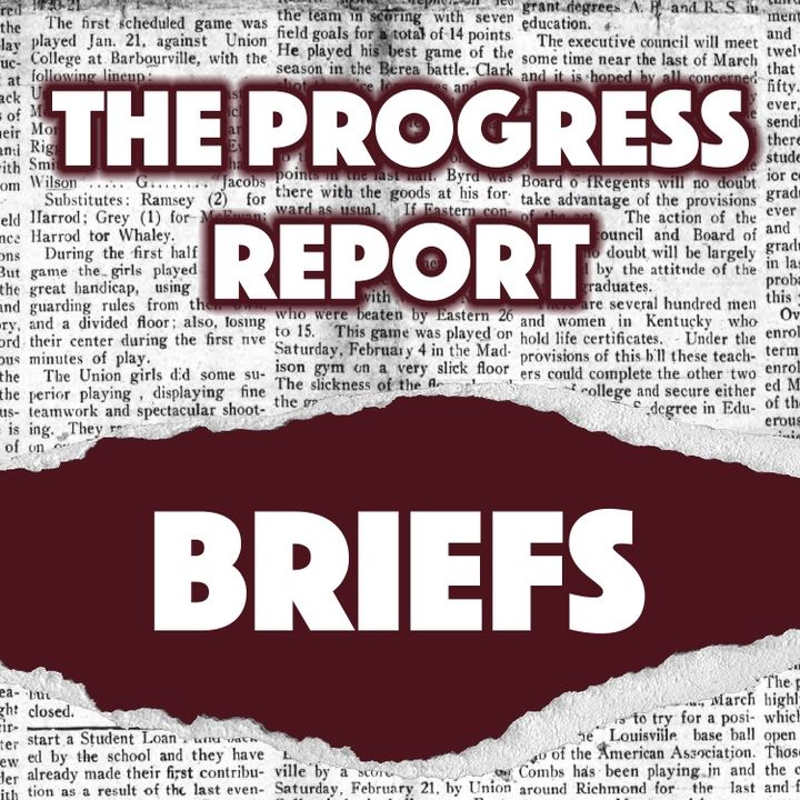 Progress Report Brief