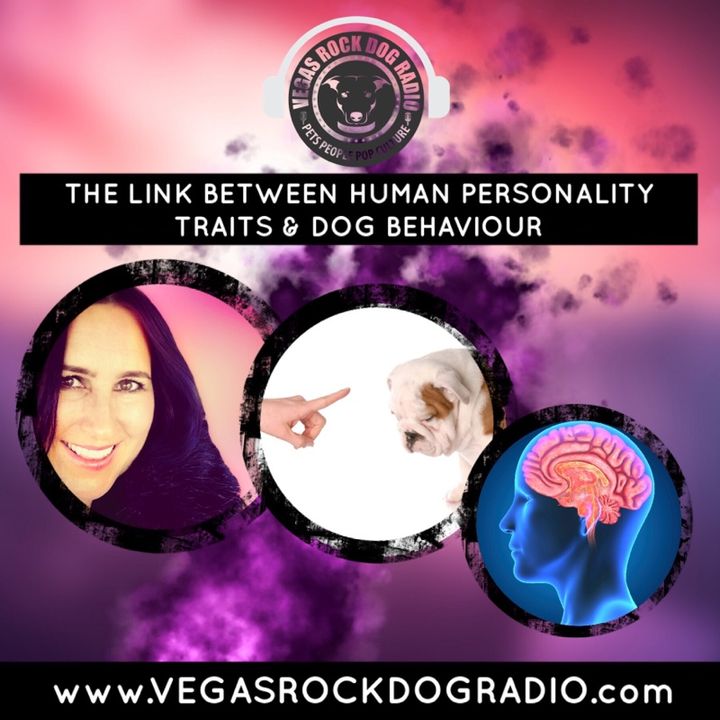 Research Link Between Human Personality Traits and Dog Beahviour
