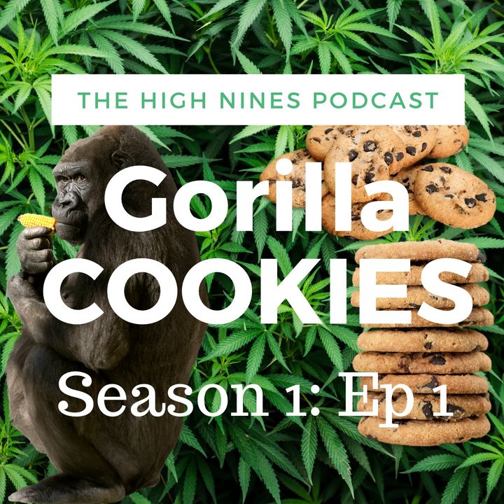 Ep#1 Gorilla Cookies
