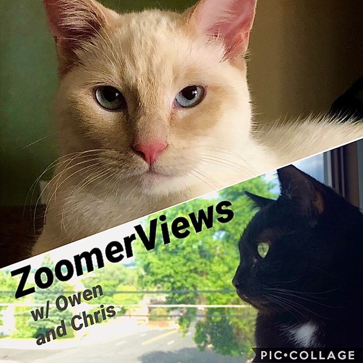 ZoomerViews Podcast