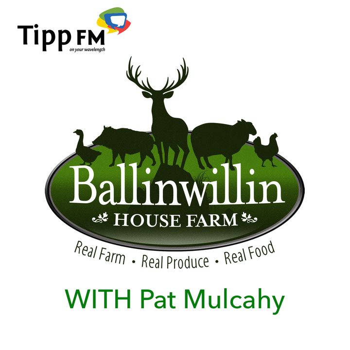 Pat Mulcahy as a Mindful Peaceful Farmer