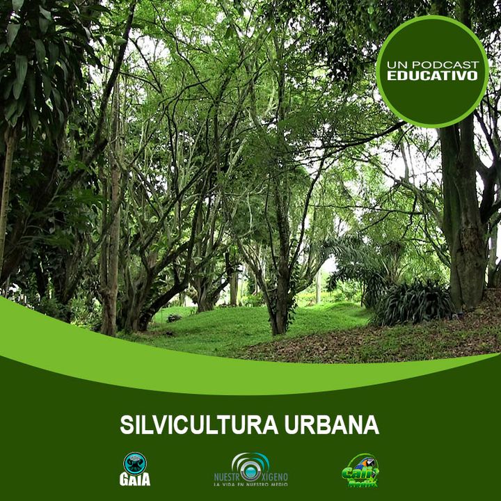 NUESTRO OXÍGENO Reflexiones sobre silvicultura urbana – Ing. Diego Escobar