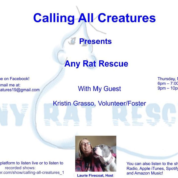Calling All Creatures Presents Any Rat Rescue