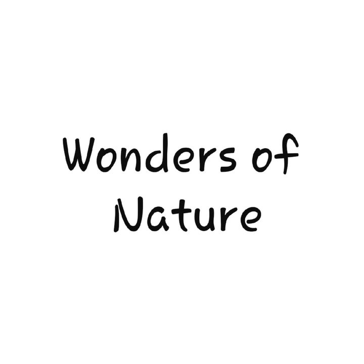 Wonders of Nature (Telugu)