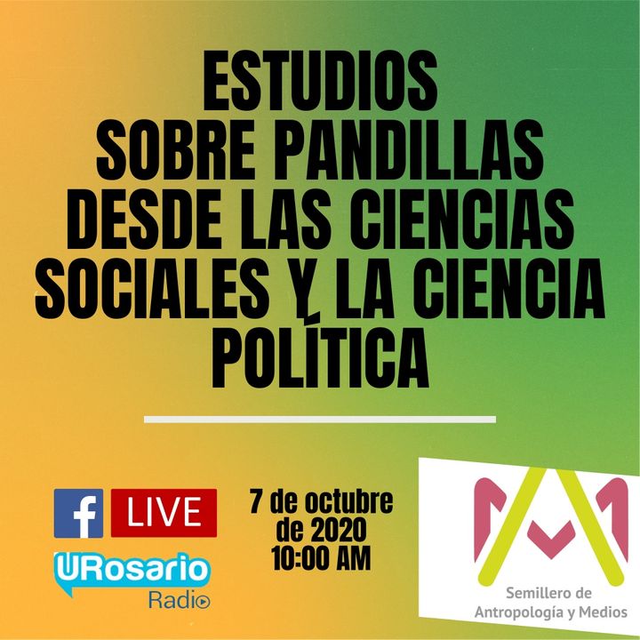 Estudios sobre pandillas desde las ciencias sociales y la ciencia política