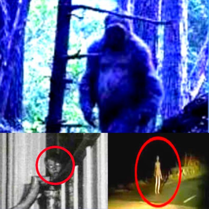 Aliens, Ghosts and Bigfoot Stories 2022