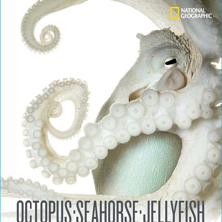 National Geographic: Octopus Seahorse Jellyfish