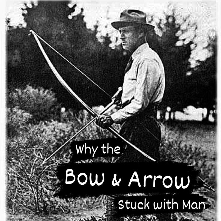 How the bow and arrow stuck with man