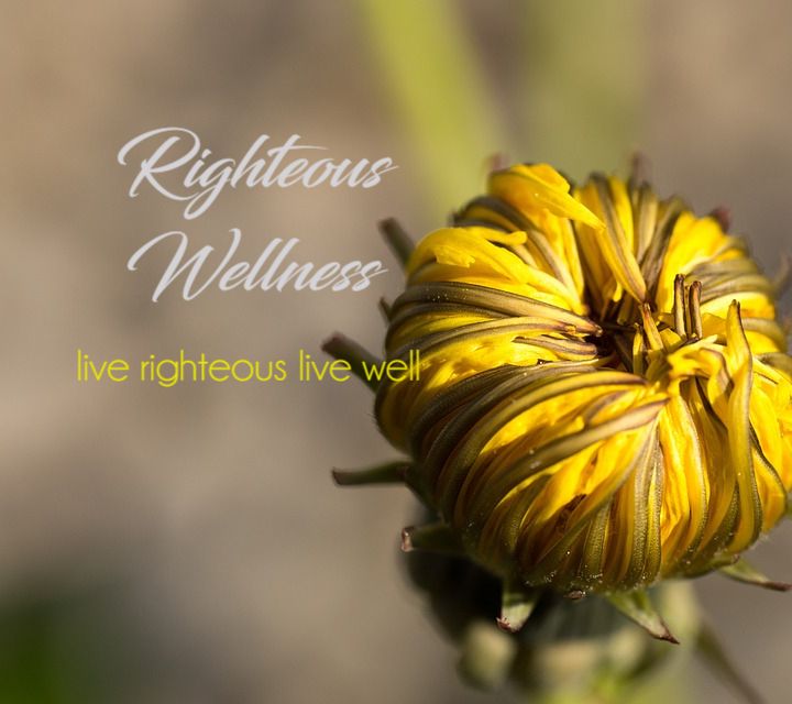 Righteous Wellness E6 Mind Transformation