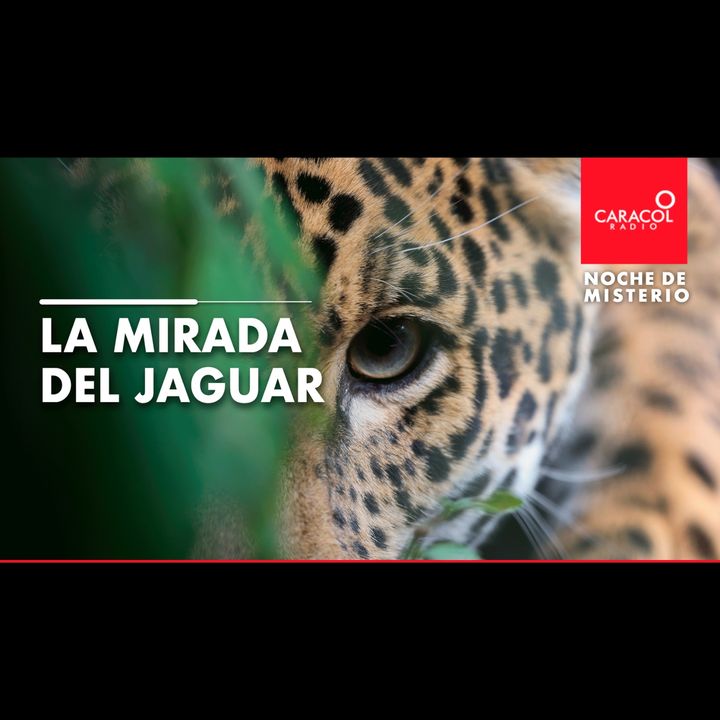 La mirada del jaguar