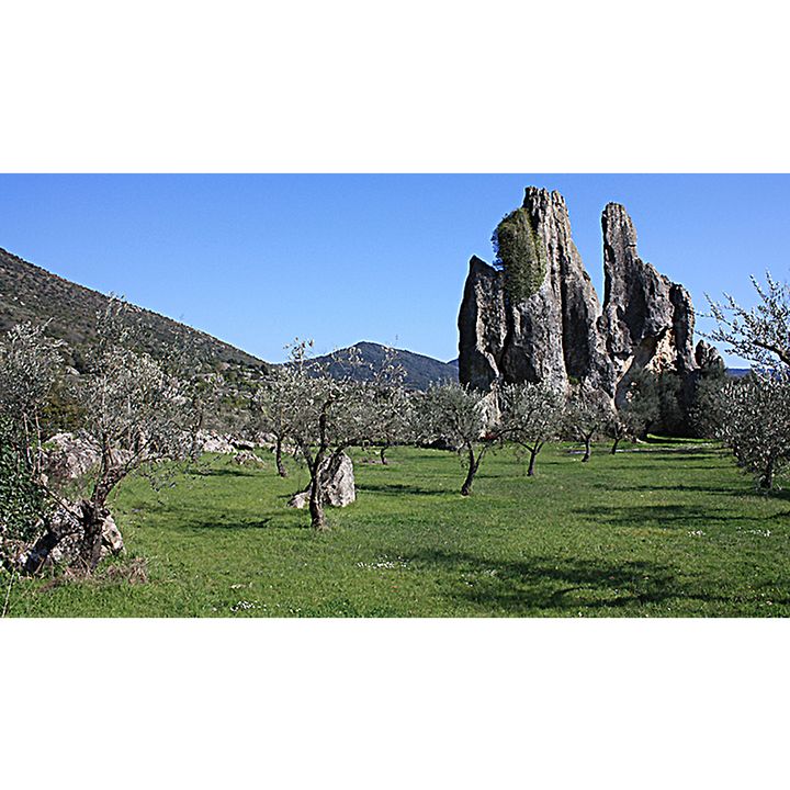 Campo Soriano monumento naturale con vigne (Lazio)