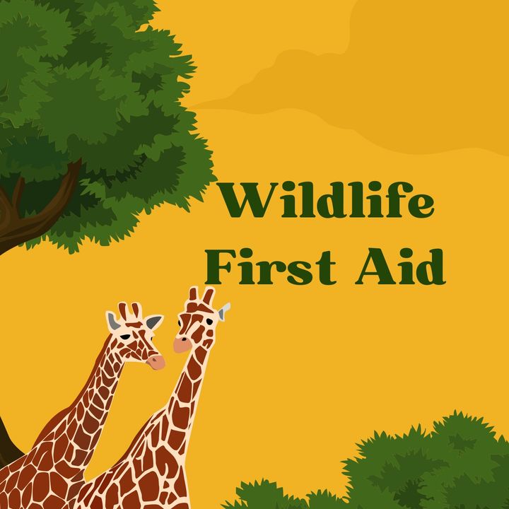 Wildlife First Aid