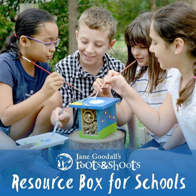 YouthRadio - JGIA Resource Box for Schools