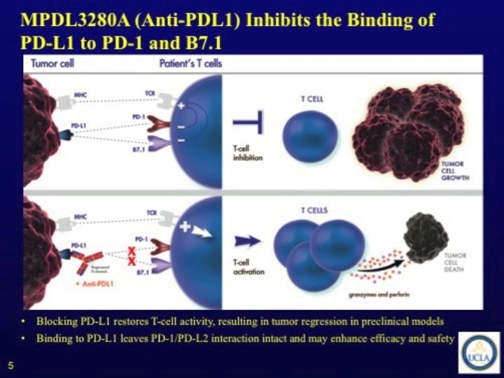ASCO Lung Cancer Highlights, Part 13: The Immune Checkpoint Inhibitor MPDL3280A in Advanced NSCLC (video)