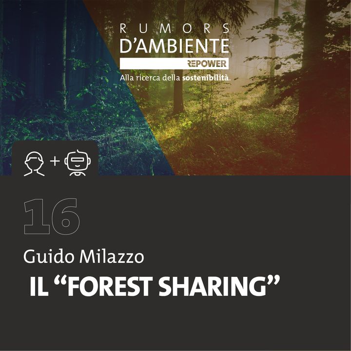 Guido Milazzo: il “Forest sharing”